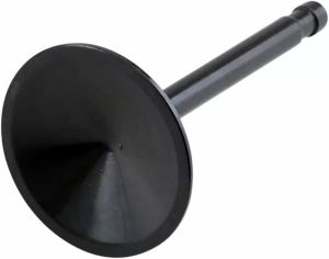 Kibblewhite 20-4196 Nitrided szelep 