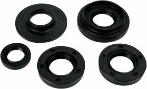 Moose racing hard-parts 822231MSE olajtömítések Motorblokk felújító készlet