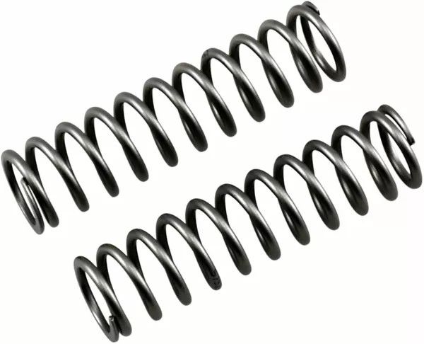 Race tech FRPS 261010 villás nyomórugók Első futómű 0
