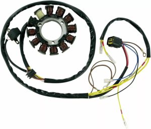Rick's motorsport electric 21-556 állórész Polarishoz Generátor és alkatrészei