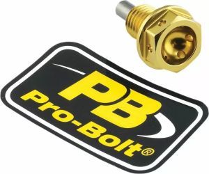 Pro bolt ALSUMP1215MAGG leeresztő dugó (Pro Bolt) Motorblokk 1