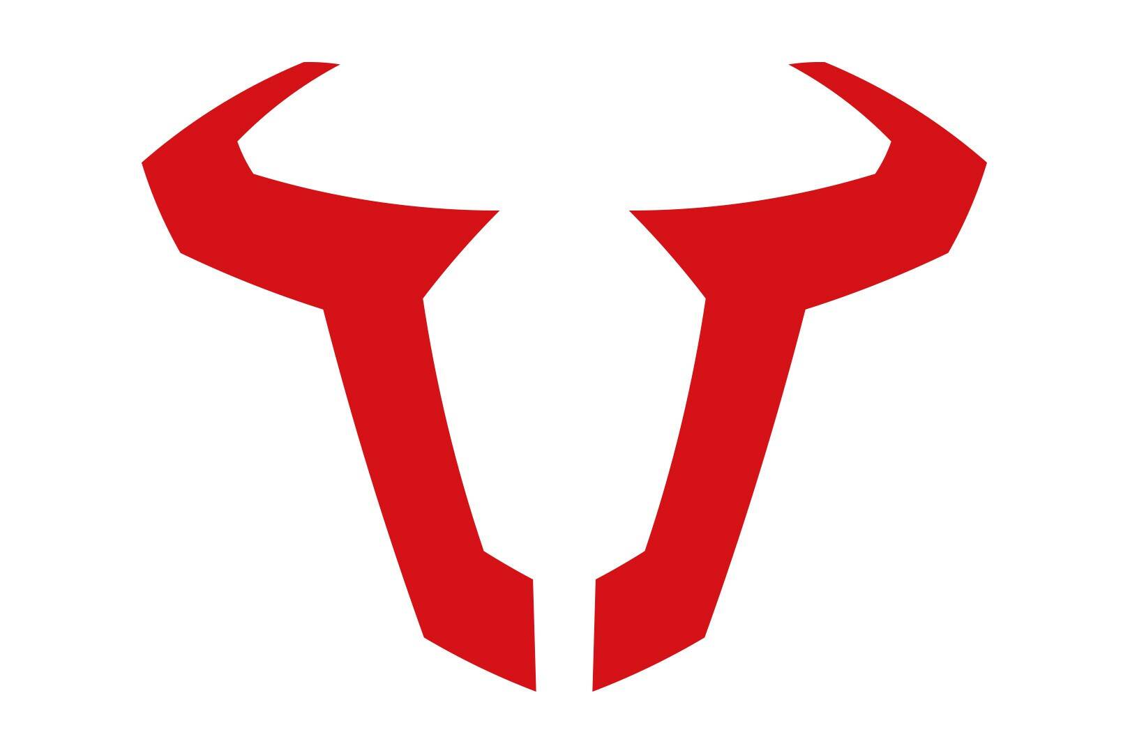 Sw-motech matrica logo Icon Matrica 0