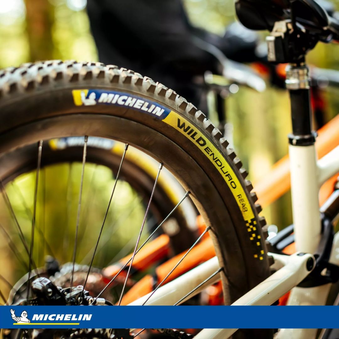Michelin 242839 Wild Enduro Racing hátsó Motorkerékpár gumiabroncs 1