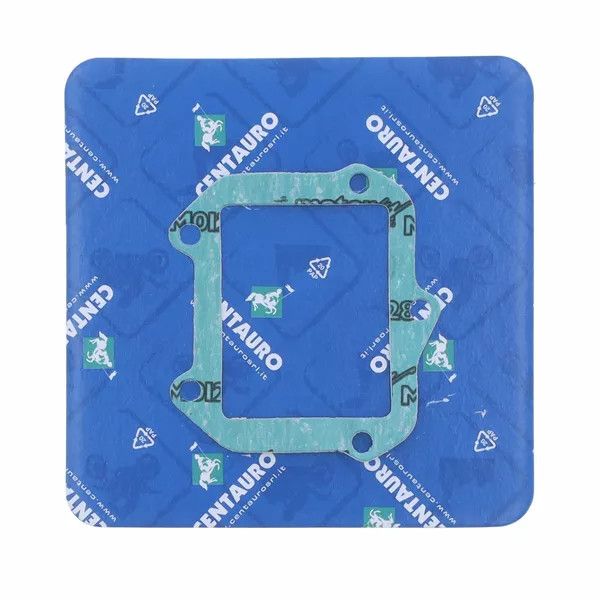 Centauro 411B09001 szívócső tömítés Motorblokk alkatrész 0