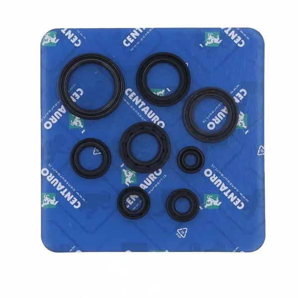 Centauro 666A126SR olajtömítés Motorblokk alkatrész 0