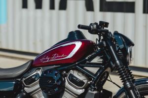 Cult werk HD-NSR028 Dash Cover Harley Sárvédő, vázvédő, idom 2