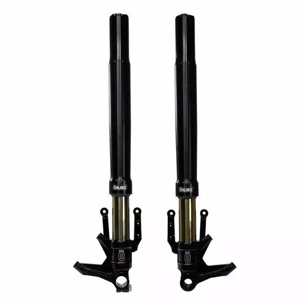 ÖHLINS FGRT 307 Front Fork CUST 48 BLK CVO RG/STG 0