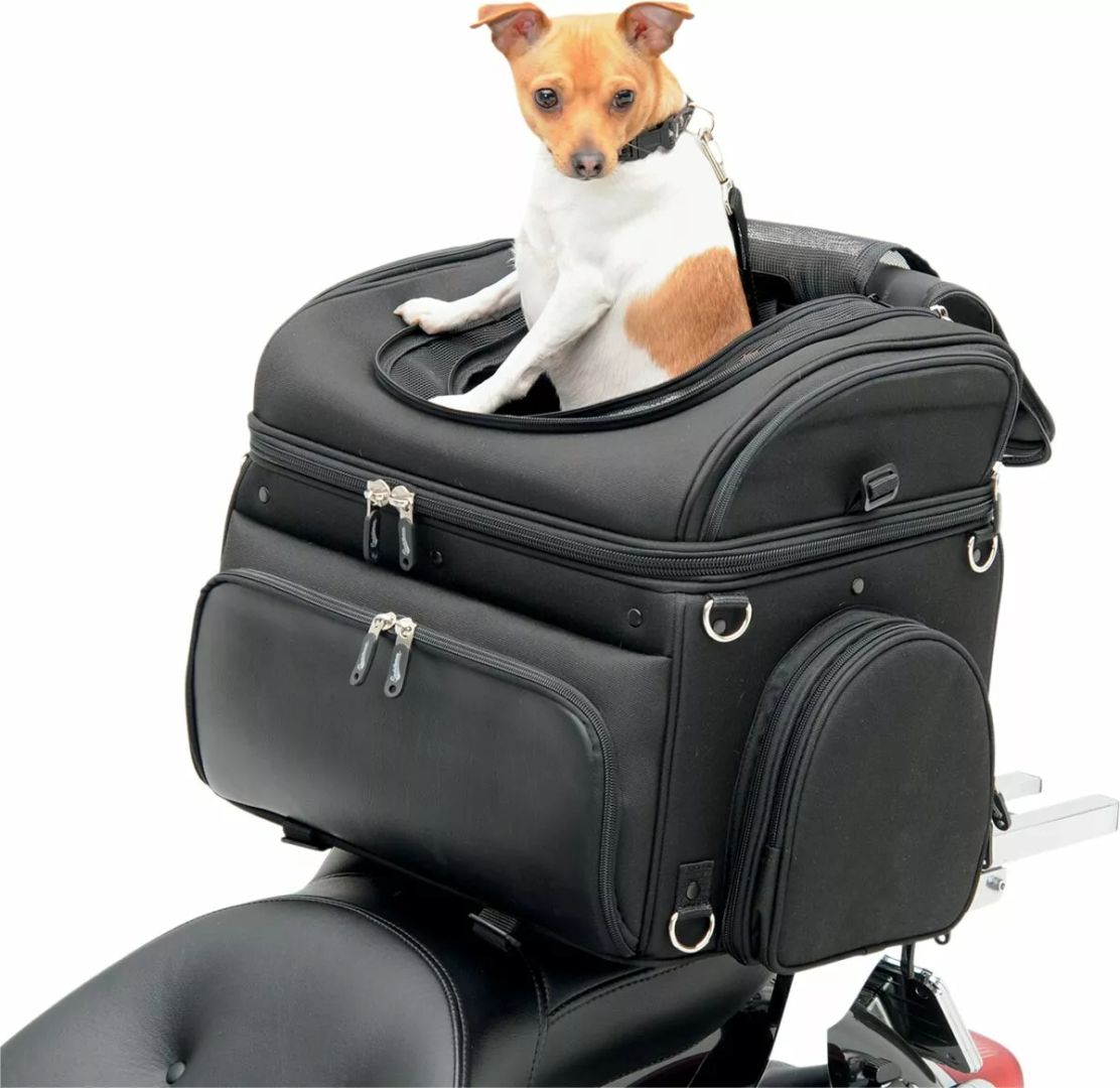 Saddlemen Ex000627 PET Voyager 11