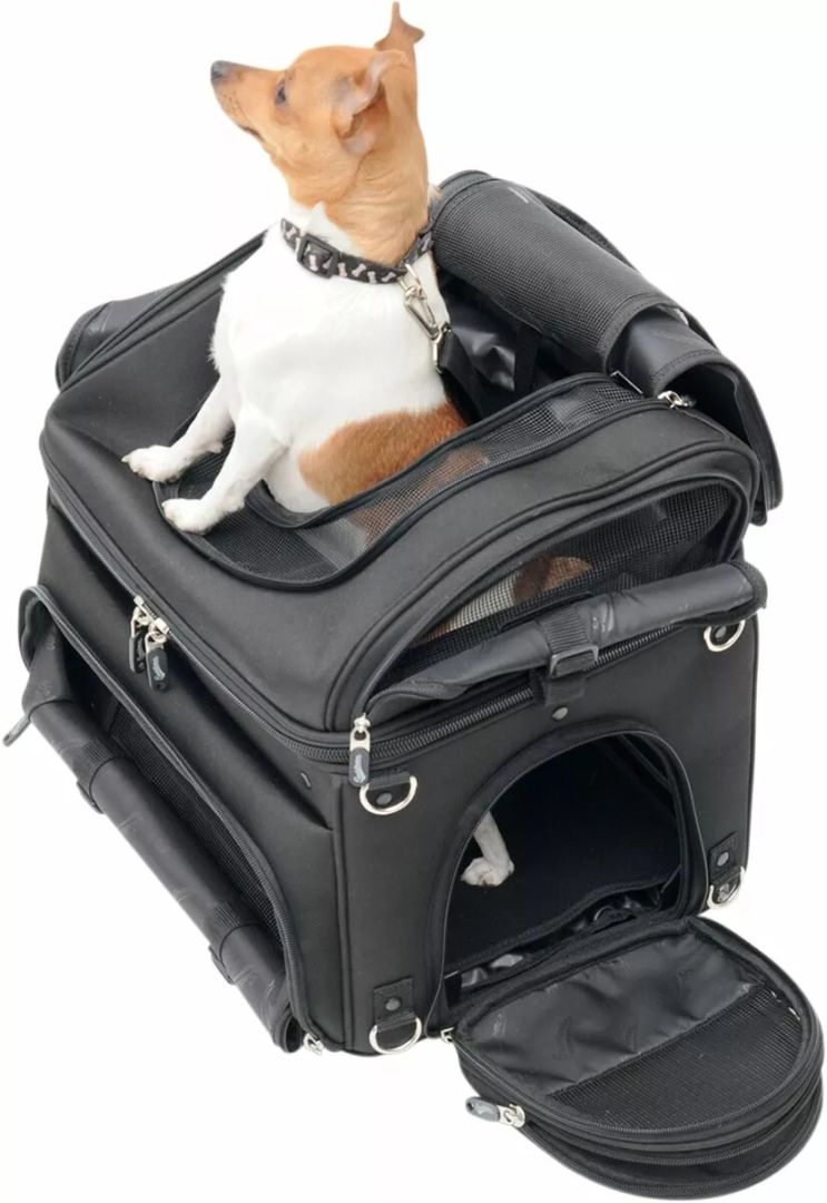 Saddlemen Ex000627 PET Voyager 5