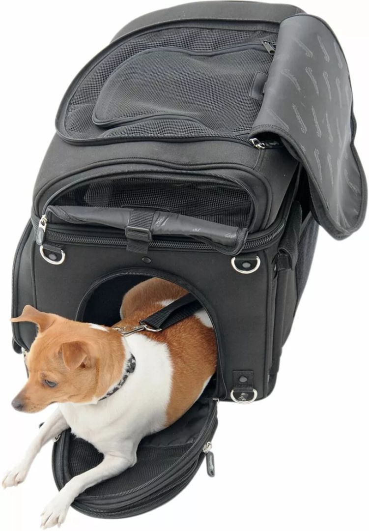 Saddlemen Ex000627 PET Voyager 8