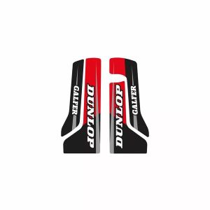 Blackbird racing 5900AB DREAM 5 FORKGUARD Grafika 